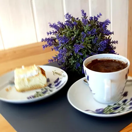 Сasa de vacaciones Wakacyjny, Nad Morzem Z Balią, Lawendowe Wzgórze, Karwieńskie Błoto