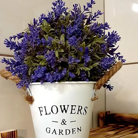 Wakacyjny, Nad Morzem Z Balia, Lawendowe Wzgorze, * Karwieńskie Błoto