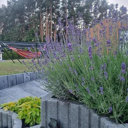 Wakacyjny, Nad Morzem Z Balia, Lawendowe Wzgorze, Prázdninový dům