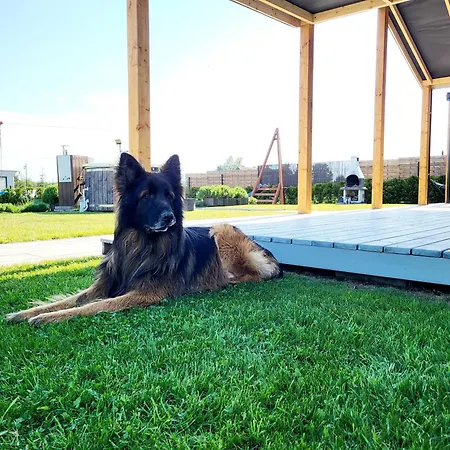 Feriehus Wakacyjny, Nad Morzem Z Balia, Lawendowe Wzgorze, *