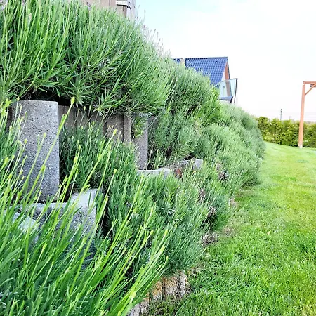 Wakacyjny, Nad Morzem Z Balia, Lawendowe Wzgorze, Feriehus Karwieńskie Błoto