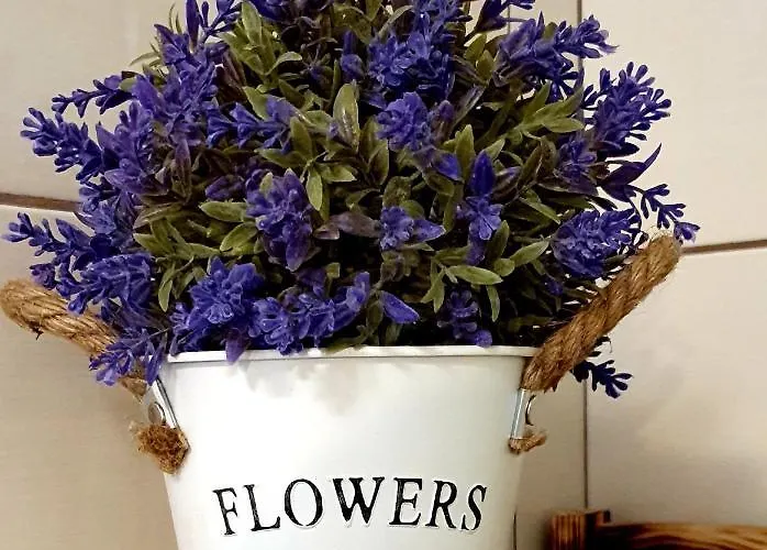 Wakacyjny, Nad Morzem Z Balia, Lawendowe Wzgorze, * Karwieńskie Błoto