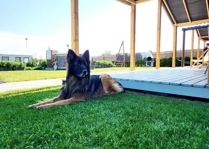 Ferienhaus Wakacyjny, Nad Morzem Z Balia, Lawendowe Wzgorze, *