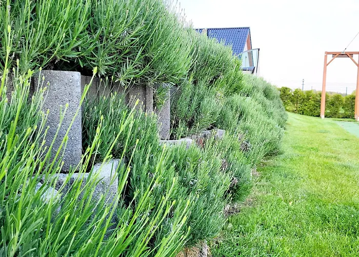 Wakacyjny, Nad Morzem Z Balia, Lawendowe Wzgorze, Ferienhaus Karwieńskie Błoto